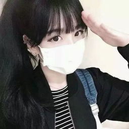 宝可梦探险队dx版下载